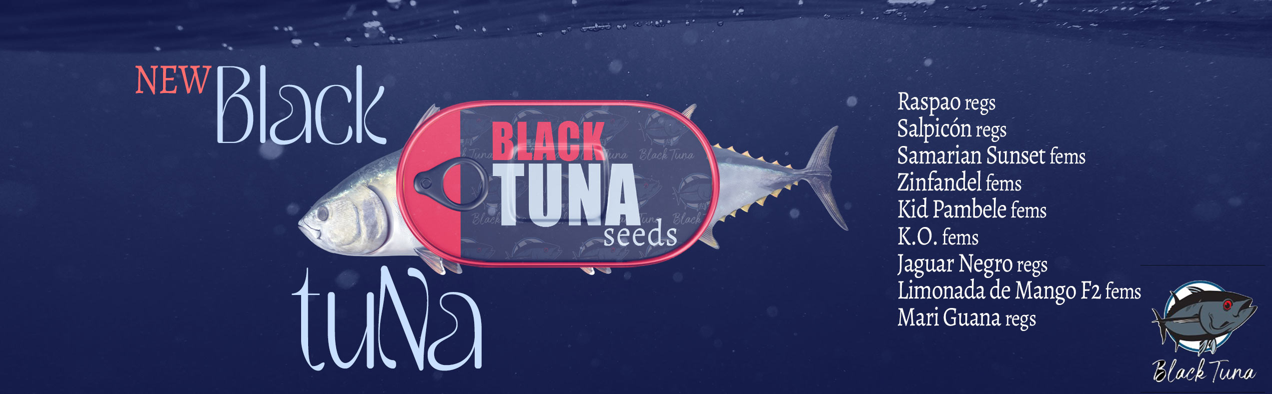 Black Tuna Cannabis Seeds