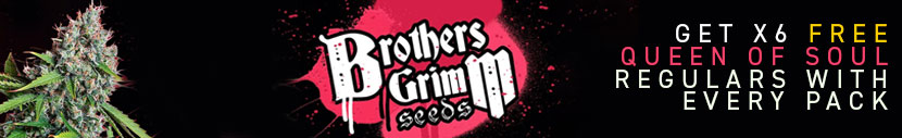 6 Free Brothers Grimm Seeds