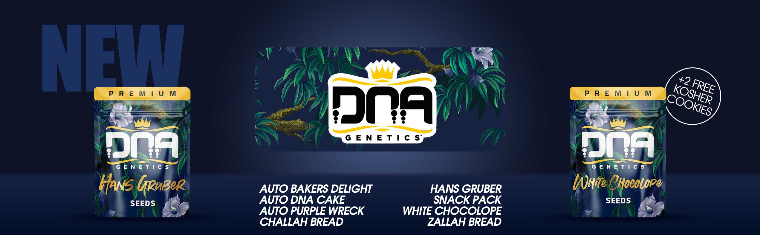 DNA Genetics Auto And Feminized Cannabis Seeds