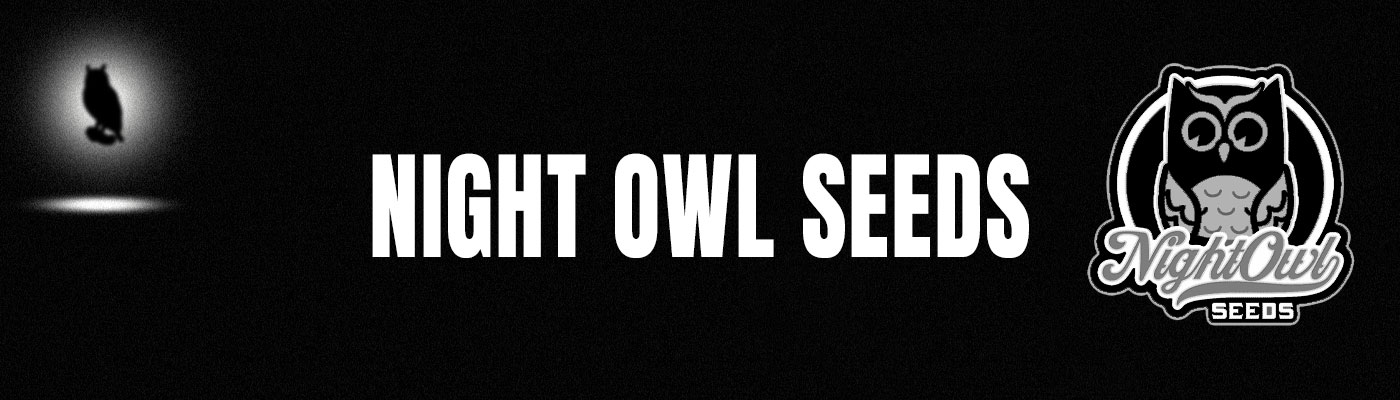 Night Owl Seeds Night Owl Seeds