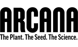 Arcana Collective