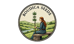 Boudica Seeds