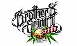 Brothers Grimm Seeds