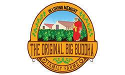 The Original Big Buddha Family Farms