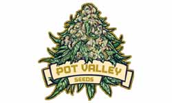 Pot Valley Seeds