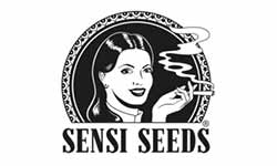 Sensi Seeds