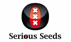 Serious Seeds CBD Oil