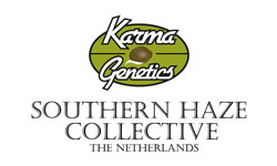 Southern Haze Collective