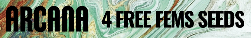 Get 4 free feminized seeds with every Arcana fem pack