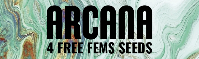 Arcana Collective Fem Promo
