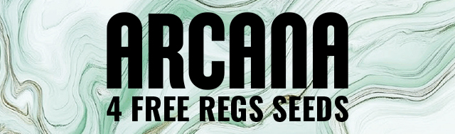 Arcana Collective Promo