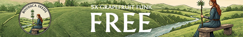 Buy a 5 pack of Rubber Tree and get a 5 pack of Grapefruit Funk for free