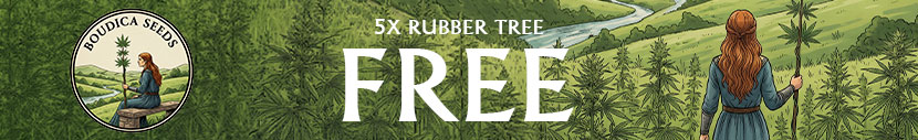 Buy a 5 pack of Grapefruit Funk and get a 5 pack of Rubber Tree for free