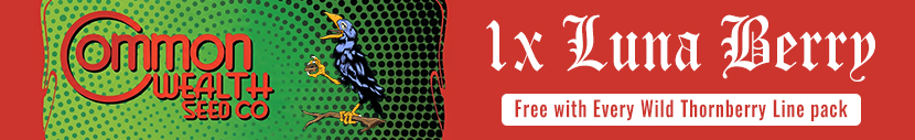 1 Free Luna Berry Seed with every Wild Thornberry Line pack