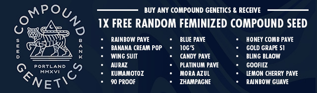 All retail purchases of Compound Genetics will get 1x free random Feminized Compound Seed