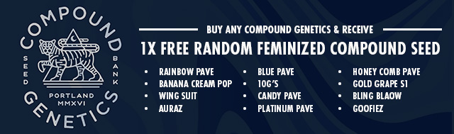 All retail purchases of Compound Genetics will get 1x free random Feminized Compound Seed