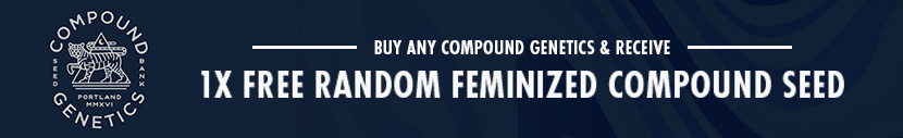 All retail purchases of Compound Genetics will get 1x free random Feminized Compound Seed which will be one of the following- Rainbow Pave, Banana Cream Pop, Wing Suit, Auraz, Blue Pave, 10gs, Candy Pave, Platinum Pave, Honey Comb Pave, Gold Grape S1, Bling Blaow, Goofiez, Kumamotoz, Lemon Cherry Pav©, Mora Azul, Rainbow Guav©, Zhampagne or 90 Proof