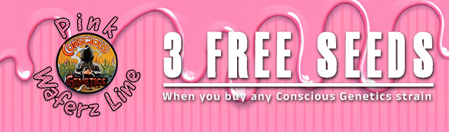 Buy any Conscious Genetics Strain and get 3x Feminized Seeds by Conscious Genetics for Free