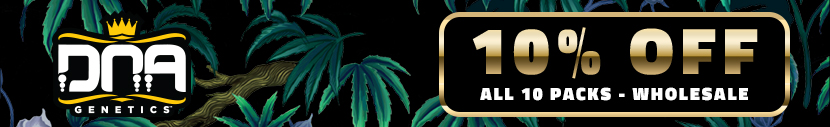 Wholesale Offer: 10% discount on 10 packs