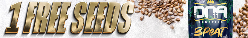Buy any DNA Genetics and get 1x 3Peat seed free