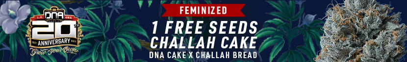 Buy any pack of DNA Genetics and get 1 Challah Cake FREE!