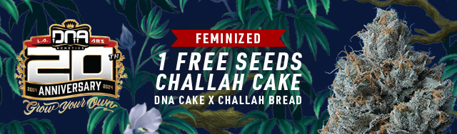 Buy any pack of DNA Genetics and get 1 Challah Cake FREE!