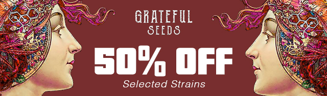 50% Selected Grateful Seeds Strains