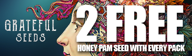 Each pack gets 2x Honey Pam Complimentary