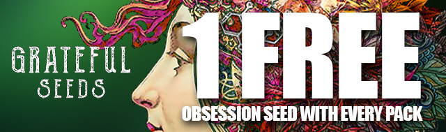 1x Free obsession Seed with every Pack