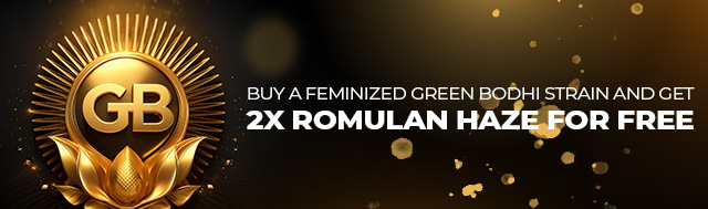 Retail only: buy a feminized Green Bodhi strain and get 2x Romulan Haze for free