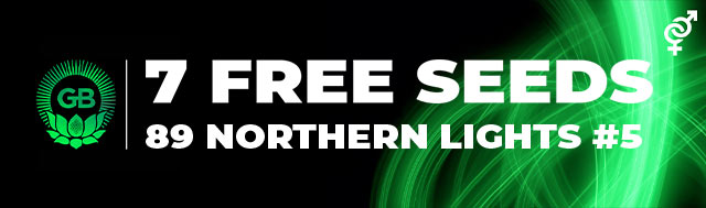 Green Bodhi Promo