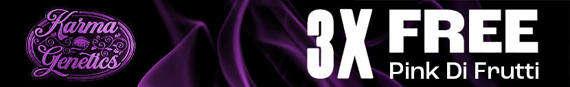 Retail only all orders of Karma Genetics get 3x Pink Di Frutti whilst stocks last