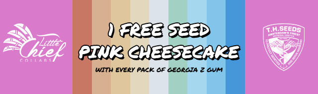 Get 1 free seed of Pink Cheesecake (London Cheesecake x Bubblegum) with each GeorgiaZGum pack