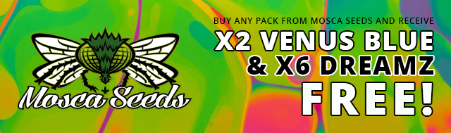 Buy any pack from Mosca Seeds and Receive x6 Dreamz And x2 Venus Blue Feminized Seeds For FREE!