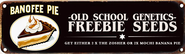 Buy Old School Genetics Banoffee Pie line and get either 2 x The Zosher or 2x Mochi Banana Pie