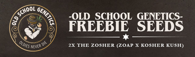 Old School Genetics buy Kosher Popz, Black Cherries or Velvet Kosher and get 2x The Zosher (Zoap x Kosher Kush)