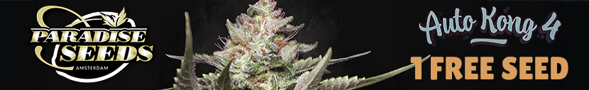 All packs of Paradise Seeds get 1x Auto Kong 4