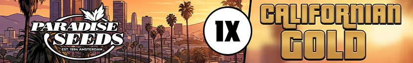All packs of Paradise Seeds get 1x Californian Gold Free!