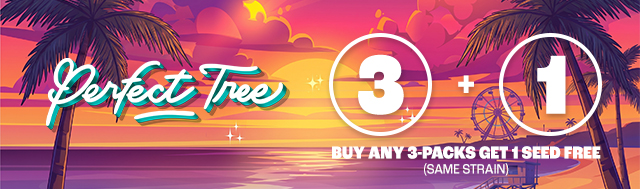 Buy any Perfect Tree Seeds 3-pack, get 1 extra matching seed FREE!