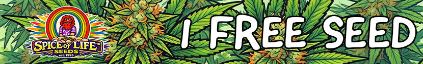 All packs of Spice of Life Seeds get 1x random strain from Seeds of Anarchy / Spice of Life Seeds