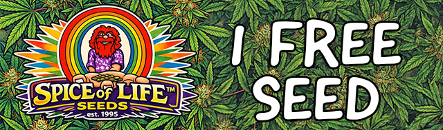 All packs of Spice of Life Seeds get 1x random strain from Seeds of Anarchy / Spice of Life Seeds