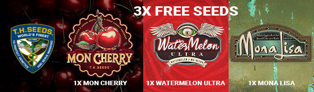 T.HSeeds Promo