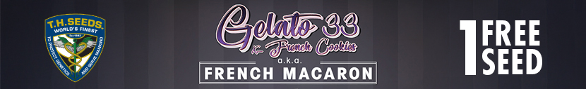 Get 1x French Macaron Seed complimentary with selected T.H.Seeds PackPack