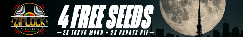All packs of Zip Lock Seeds come with 4 free seeds, included 2x Papaya Pie and 2x Tokyo Moon
