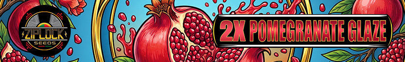 All packs of Zip Lock Seeds from the Black Panther Line get 2x Pomegranate Glaze (Doughnut Glaze x Pomegranate Spritzer)