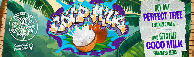 Receive x3 Coco Milk S1 Perfect Tree Seeds For Free