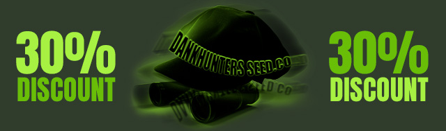 Receive A 30% Discount OFF All DankHunters Seed.Co Strains