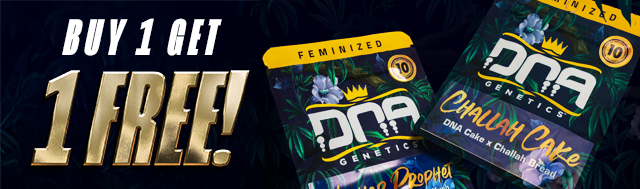 Buy any 10-pack of DNA Genetics and get a random one FREE!