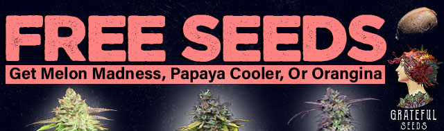 Free Grateful Seeds Weed Seeds