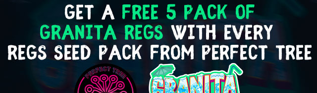 Get A Free 5 Pack Of Granita Regs With Every Regular Seed Pack From Perfect tree
